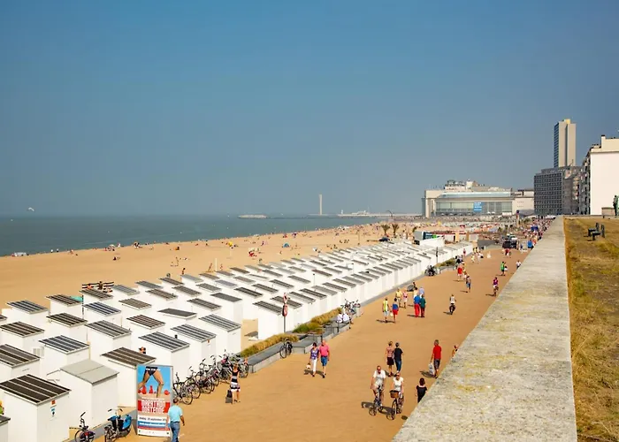 In Near The דירה